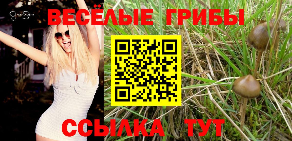 Новозыбков  Псилоцибиновые грибы Magic Shrooms  Вход с VPN 
